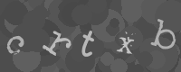 Por favor escriba los caracteres de la imagen captcha en el cuadro de entrada